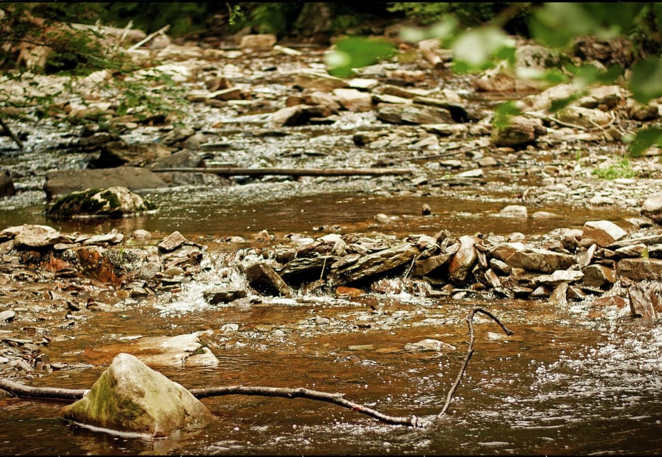 Surroundings [summer] (1-5 km)