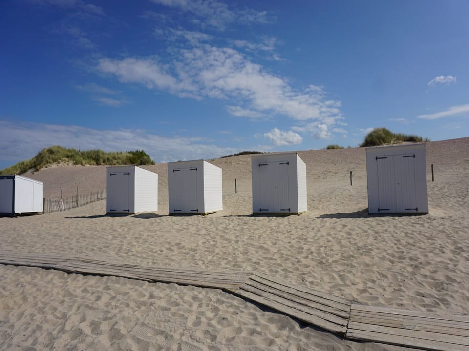 Immediate Surroundings [summer] (<1 km)