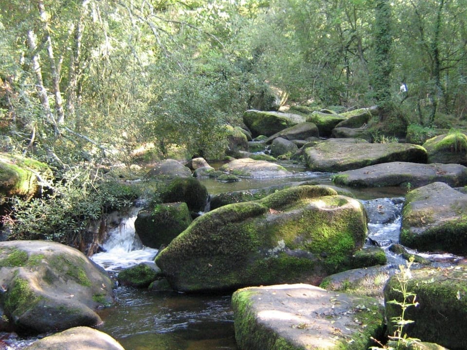 Immediate Surroundings [summer] (<1 km)