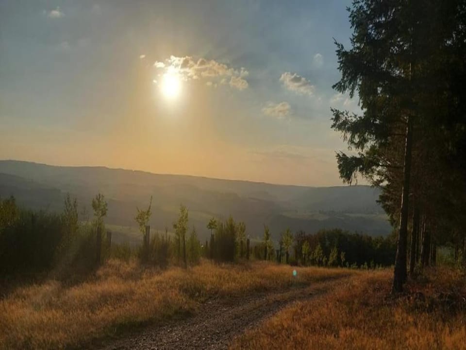 Region [summer] (>5 km)