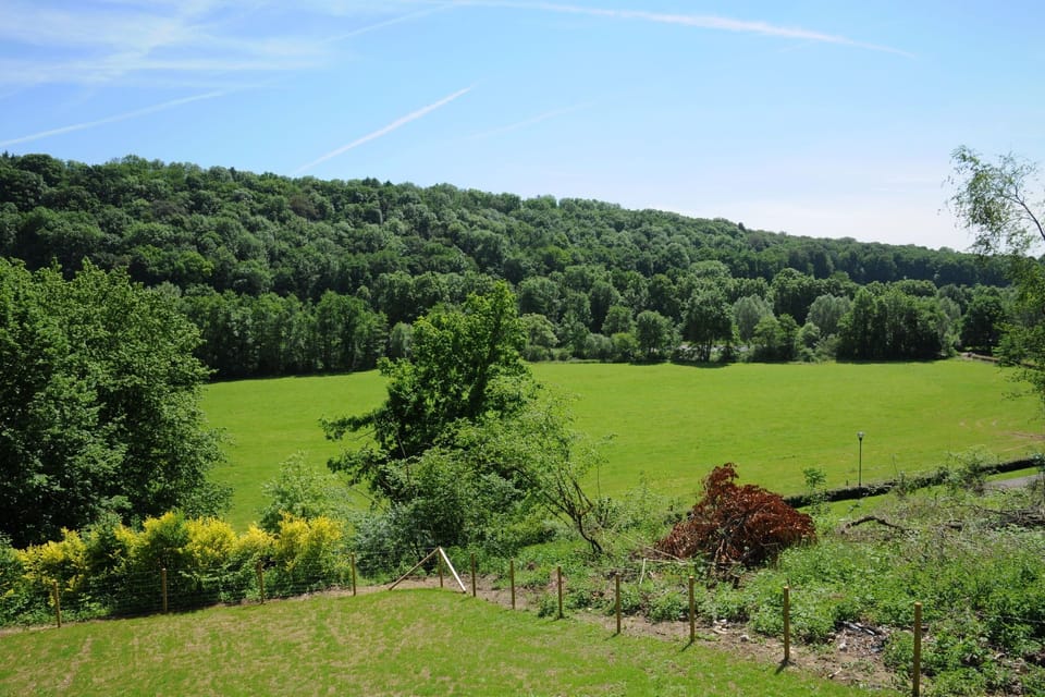 View from Holiday Home [summer]