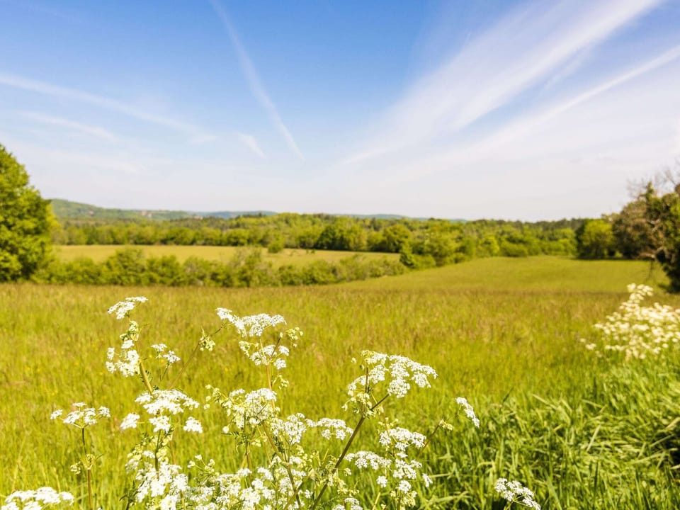 Surroundings [summer] (1-5 km)