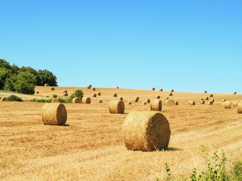 Surroundings [summer] (1-5 km)