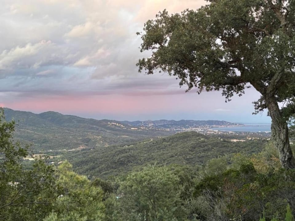 Region [summer] (>5 km)