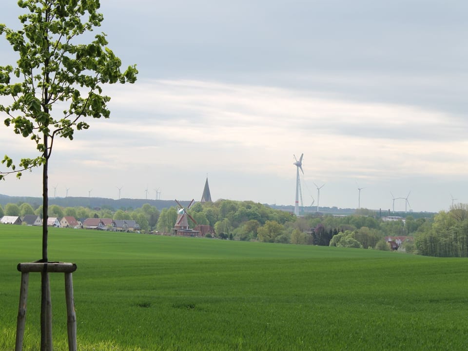 View from Holiday Home [summer]