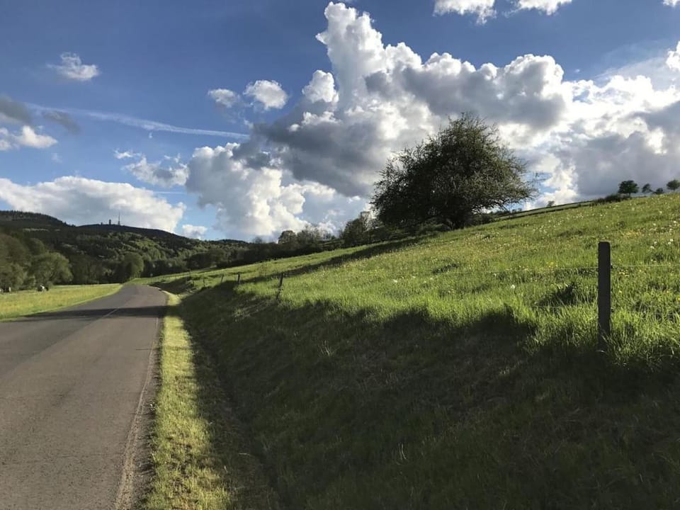 Region [summer] (>5 km)