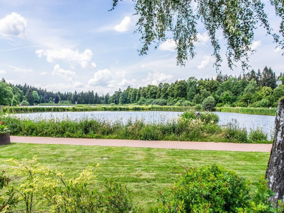 Immediate Surroundings [summer] (<1 km)