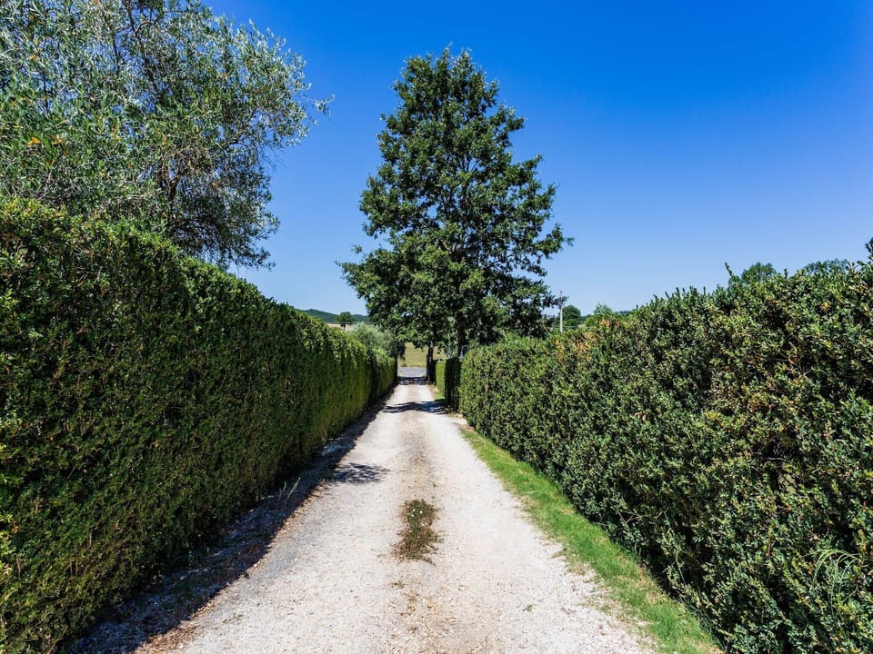 Entrance / Reception