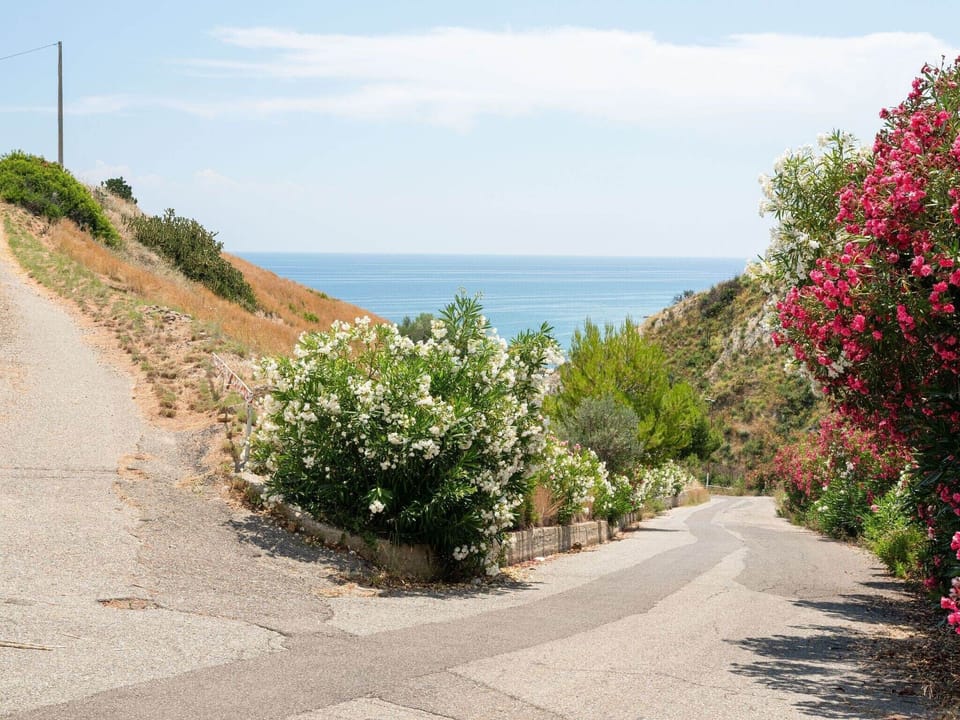 Immediate Surroundings [summer] (<1 km)