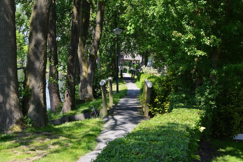 Immediate Surroundings [summer] (<1 km)