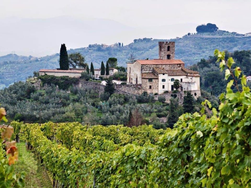 Immediate Surroundings [summer] (<1 km)