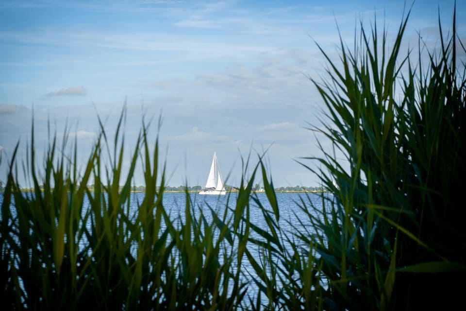 Ambiance / Close-up