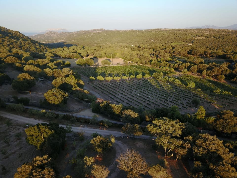 Surroundings [summer] (1-5 km)