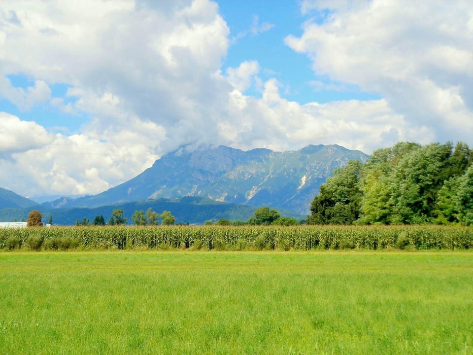 View from Holiday Home [summer]
