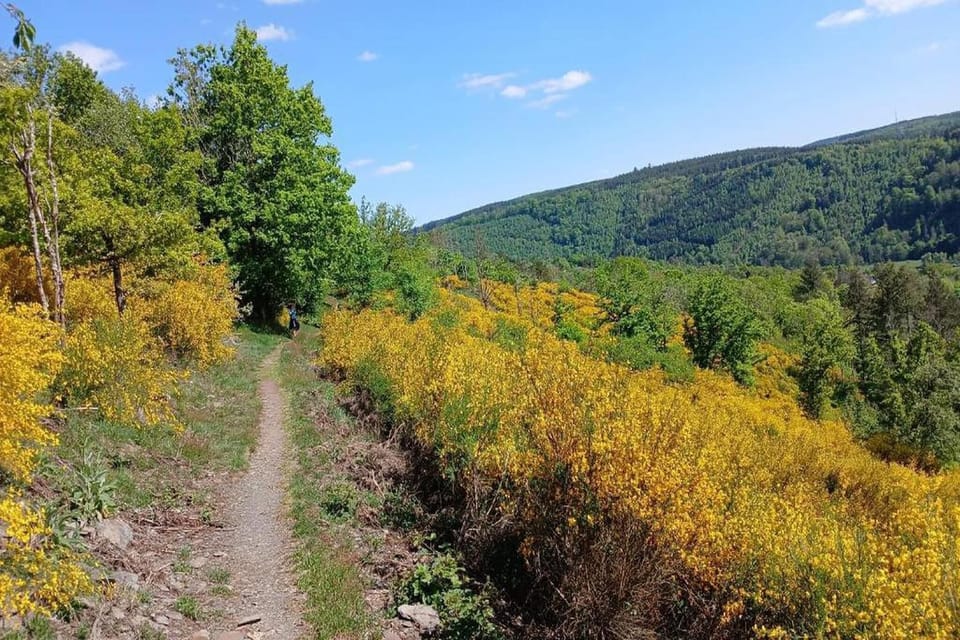 Region [summer] (>5 km)