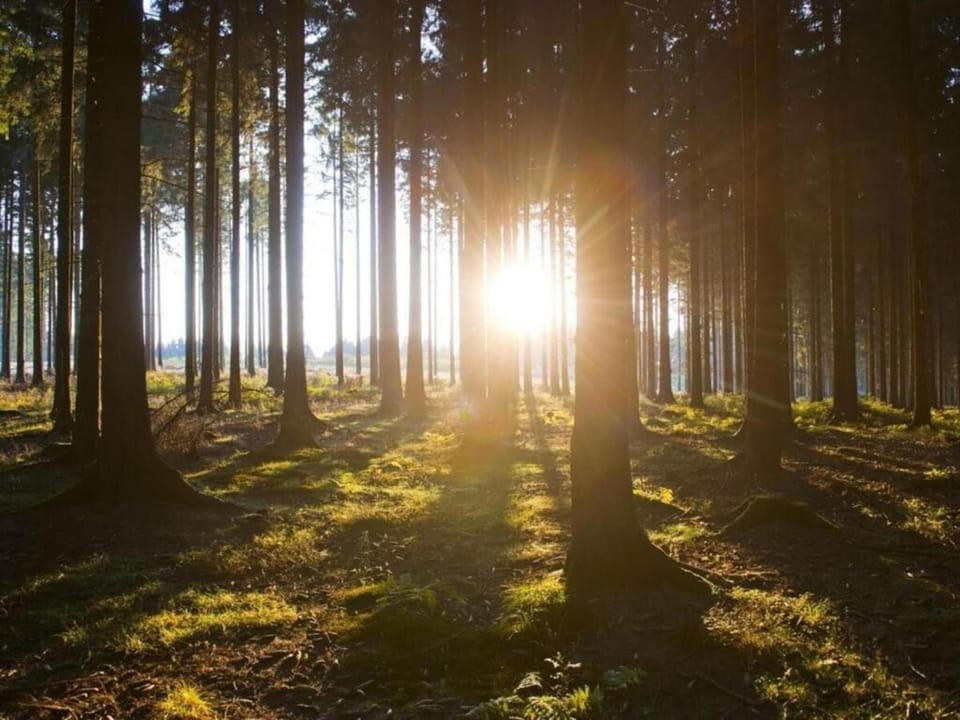 Region [summer] (>5 km)