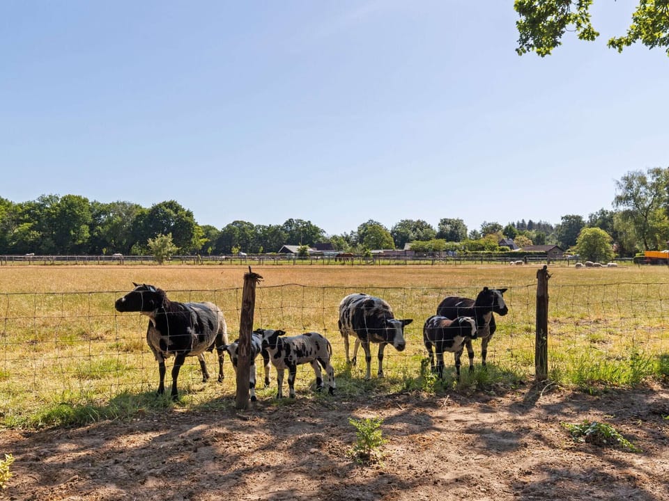 Surroundings [summer] (1-5 km)