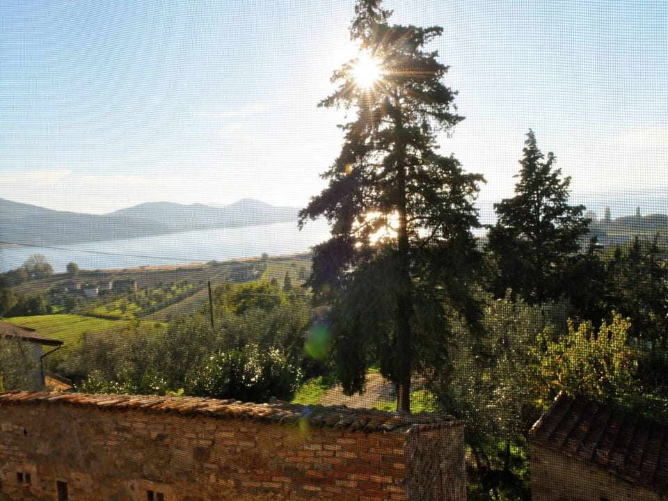 View from Holiday Home [summer]