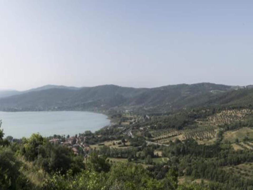 Region [summer] (>5 km)