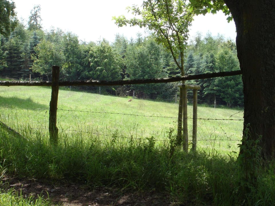 Surroundings [summer] (1-5 km)