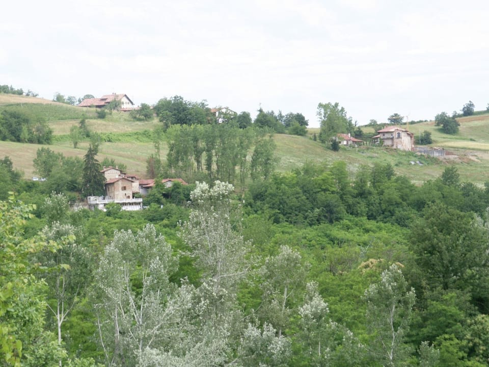 Immediate Surroundings [summer] (<1 km)