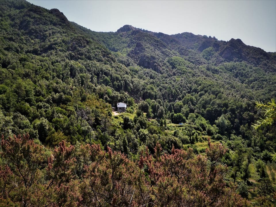 Immediate Surroundings [summer] (<1 km)