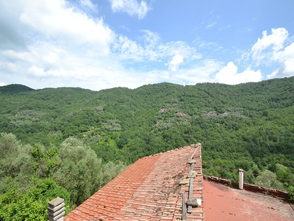 View from Holiday Home [summer]