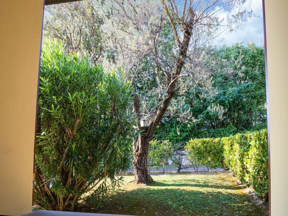 View from Holiday Home [summer]