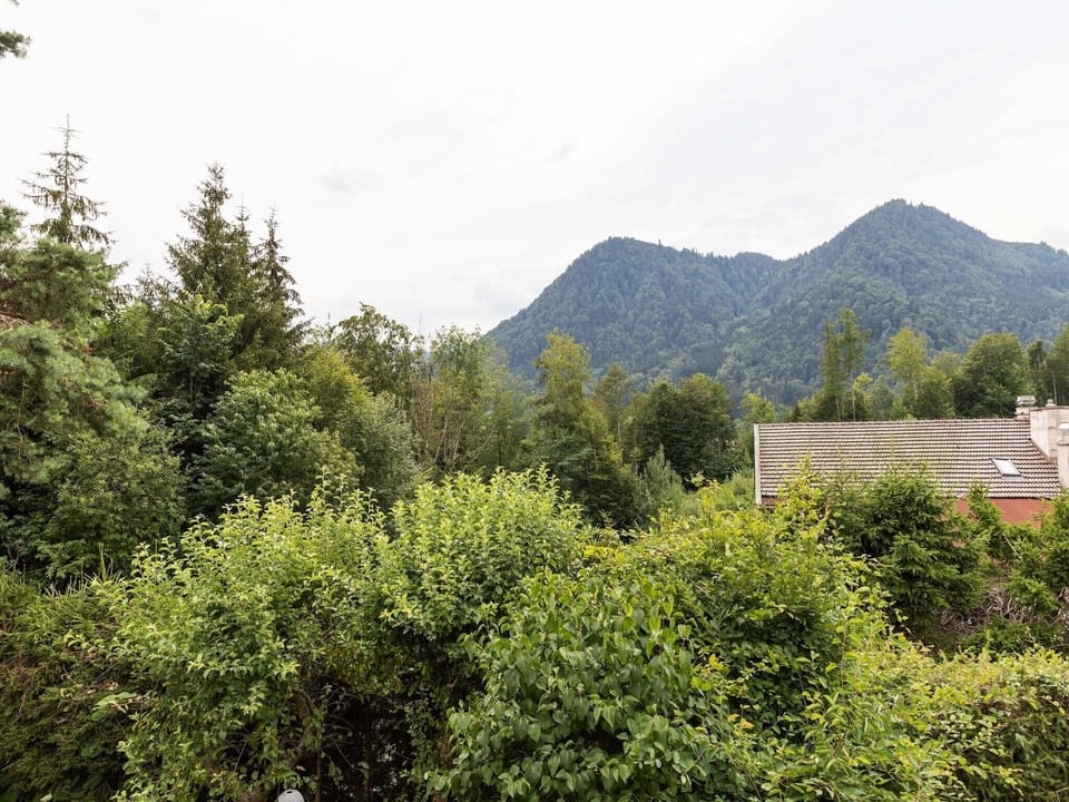 View from Holiday Home [summer]