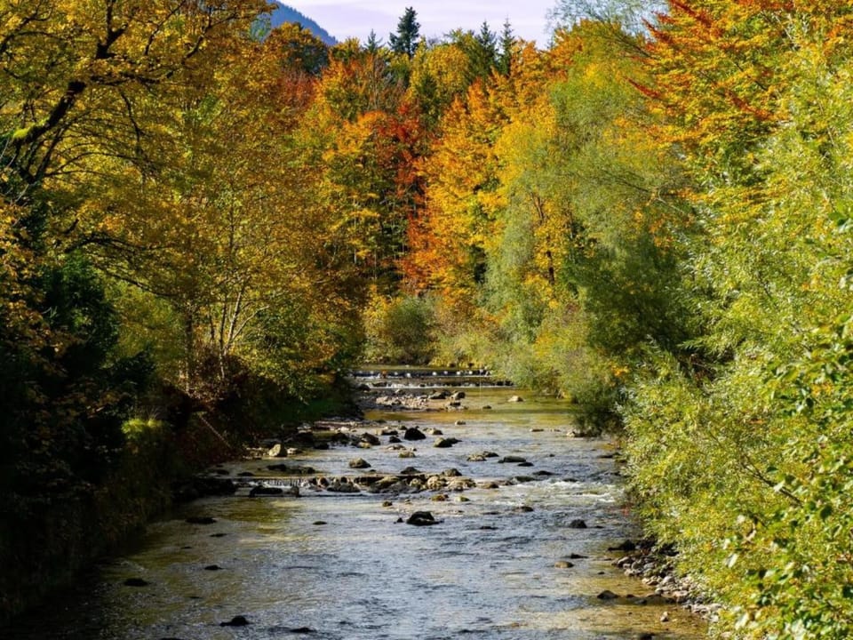 Region [summer] (>5 km)