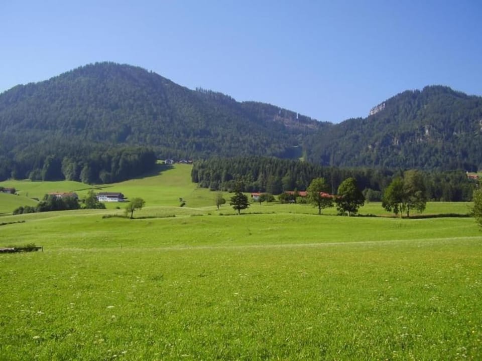 Region [summer] (>5 km)