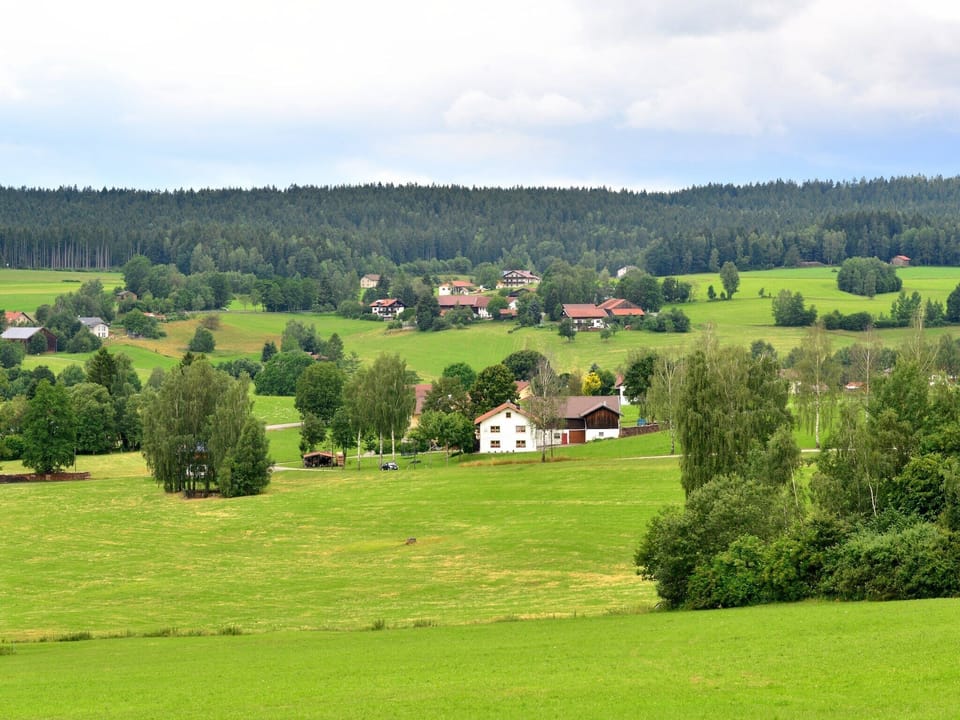 View from Holiday Home [summer]
