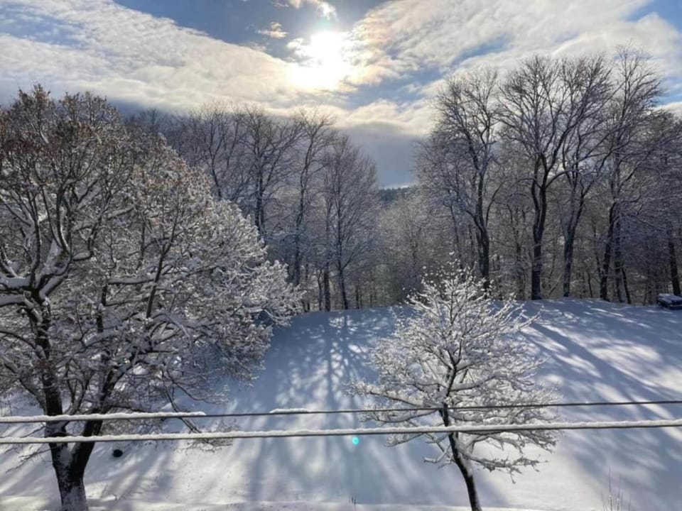 Surroundings [winter] (1-5 km)