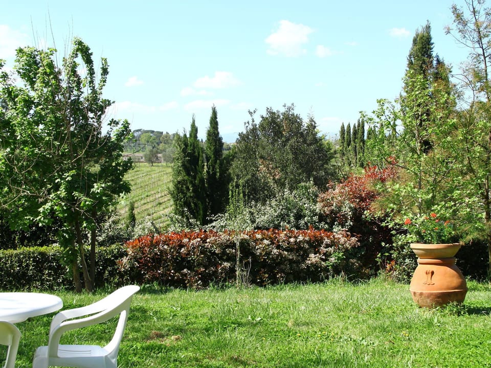 Garden [summer]