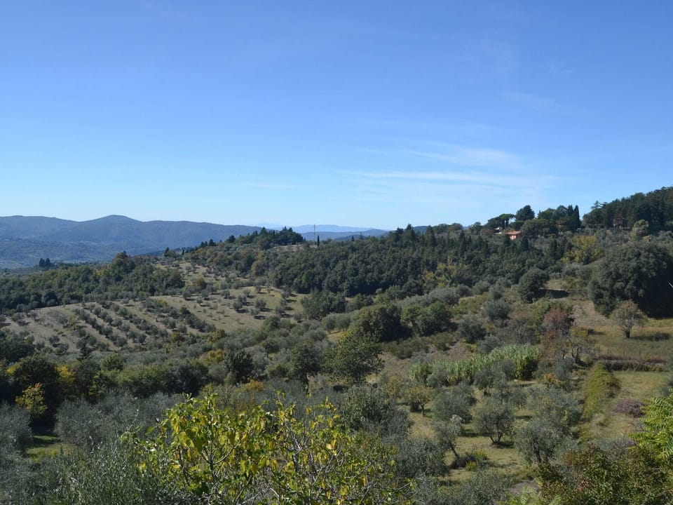 View from Holiday Home [summer]