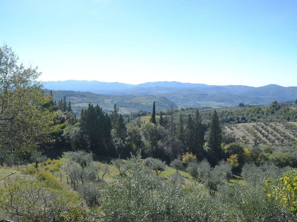 View from Holiday Home [summer]