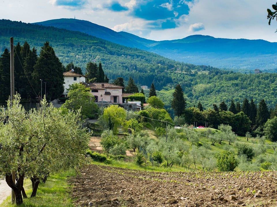Region [summer] (>5 km)