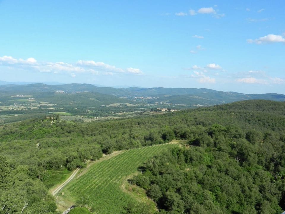Surroundings [summer] (1-5 km)