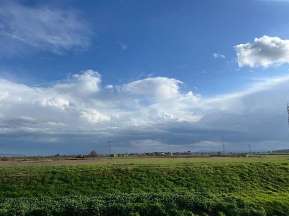 Region [summer] (>5 km)