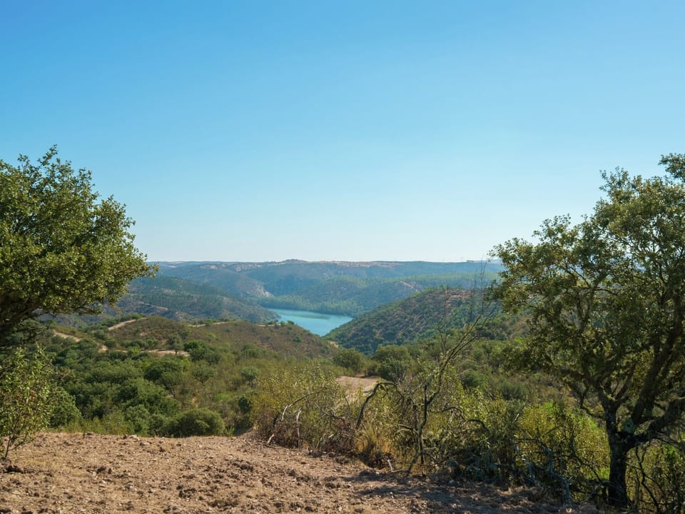 View from Holiday Home [summer]