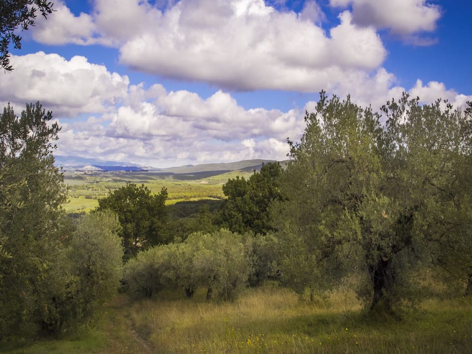 View from Holiday Home [summer]