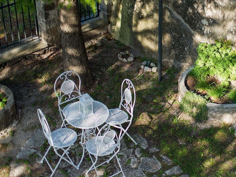 Garden [summer]