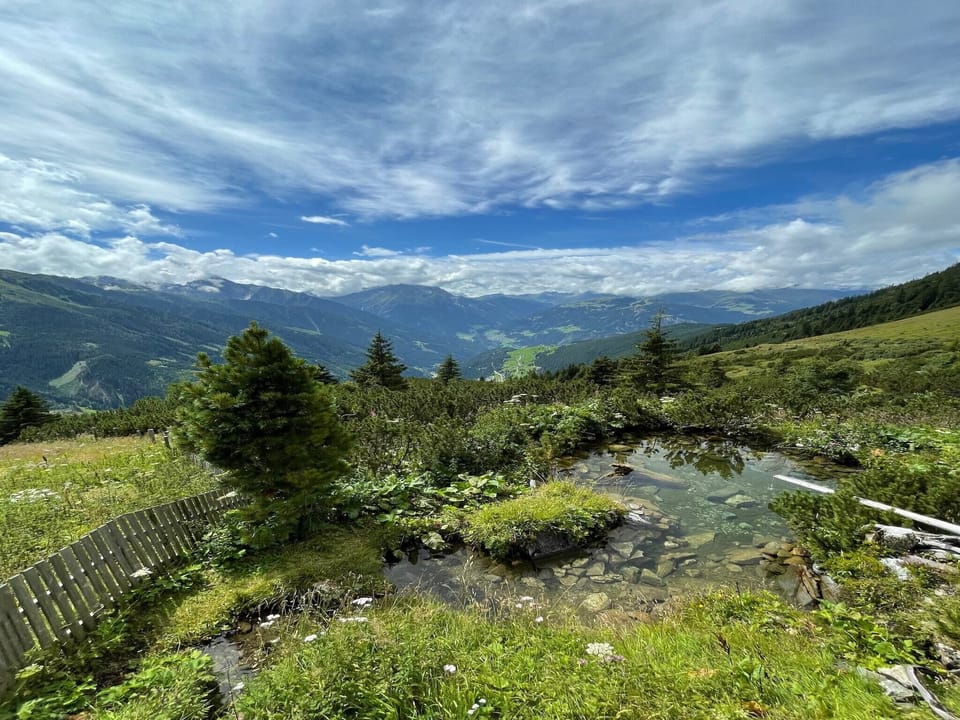 Region [summer] (>5 km)