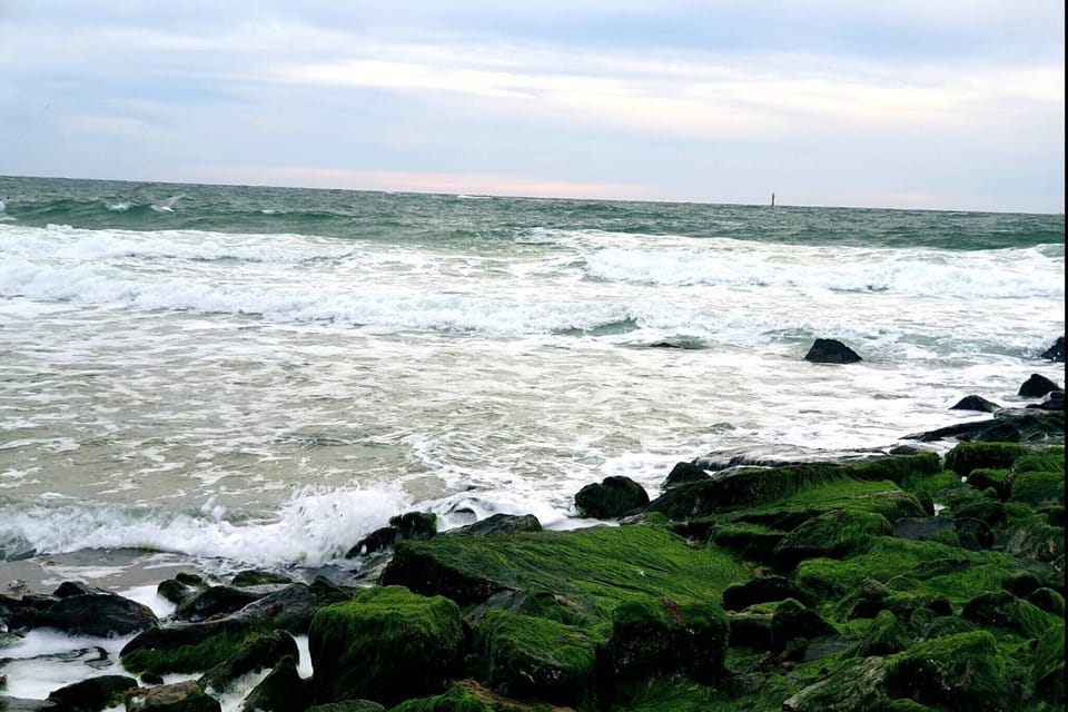 Surroundings [summer] (1-5 km)