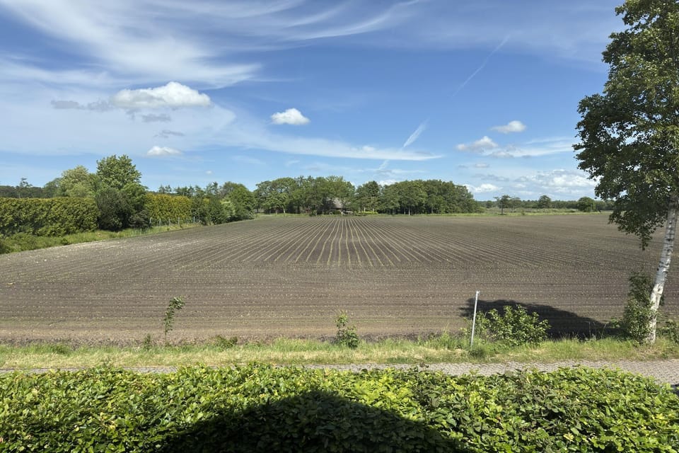 View from Holiday Home [summer]