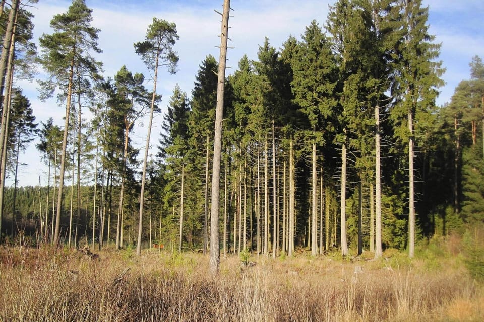 Immediate Surroundings [summer] (<1 km)