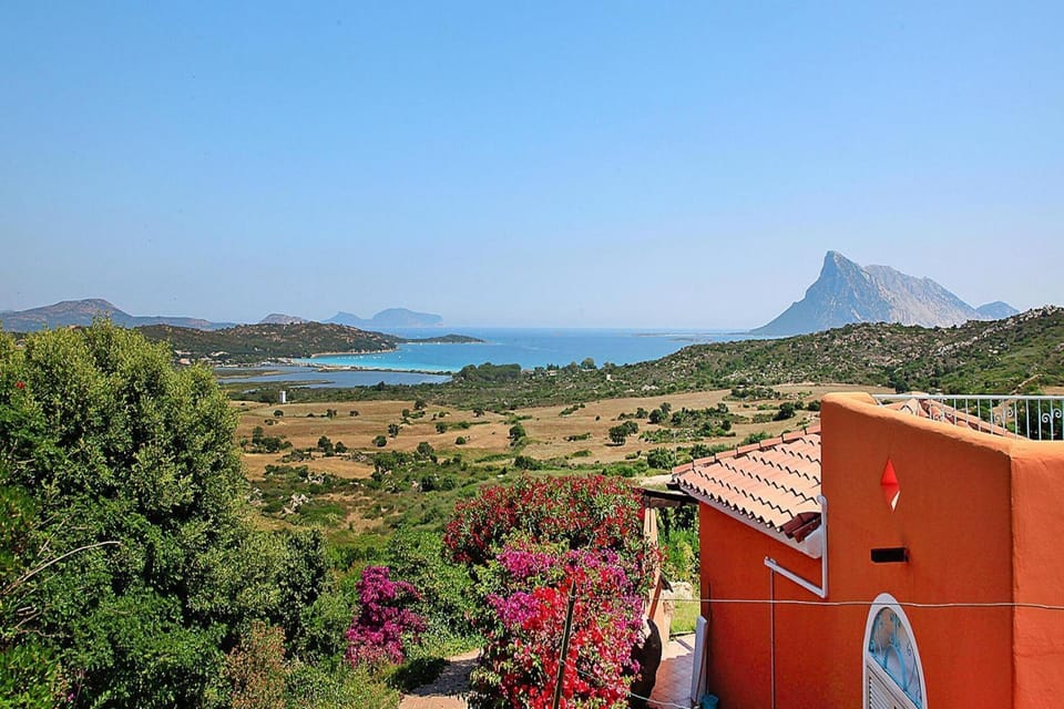 View from Holiday Home [summer]
