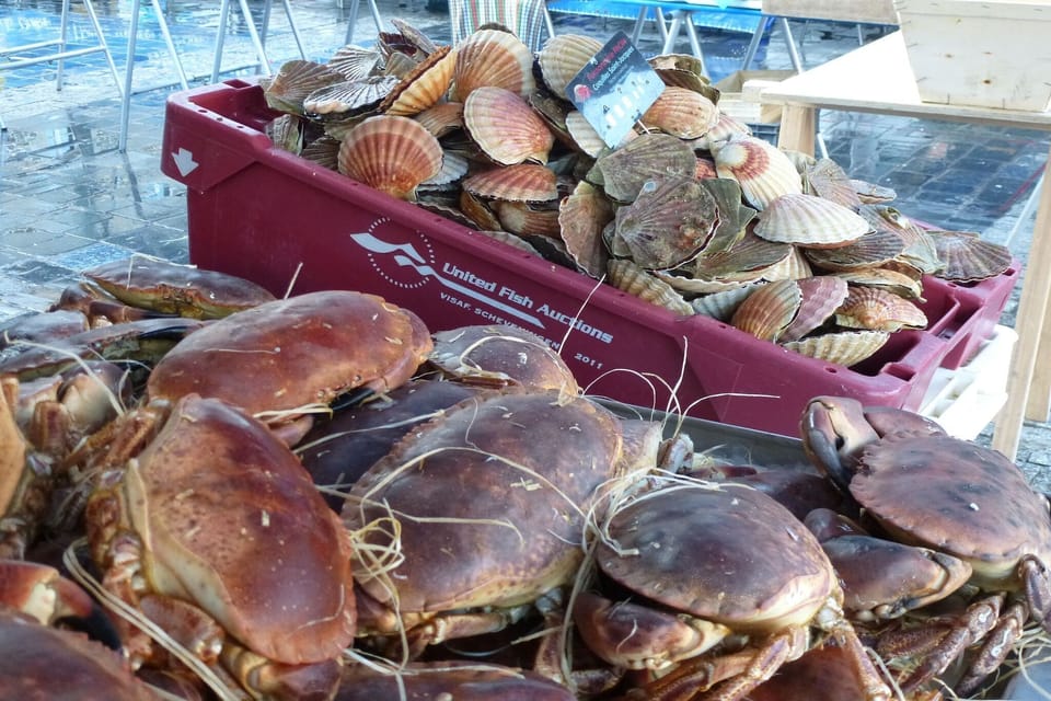 Surroundings [summer] (1-5 km)