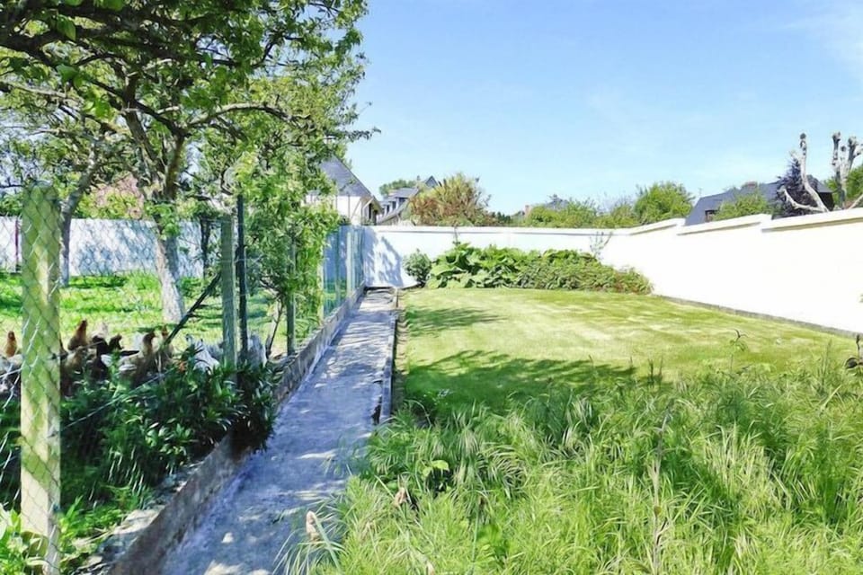 Garden [summer]
