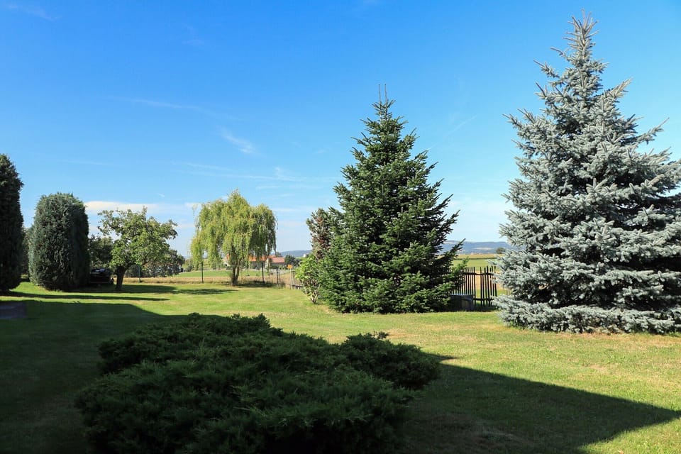 Garden [summer]
